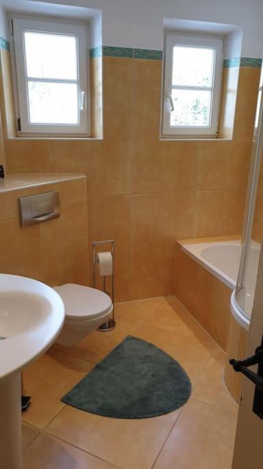 Ferienwohnung In Der Villa Sana Mit Grossem Garten Rofingen 외부 사진